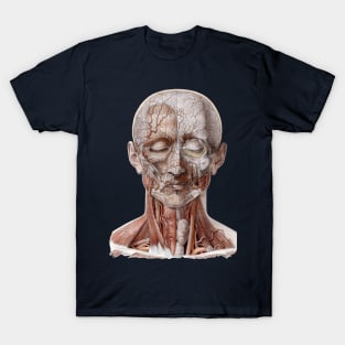 Vintage Human Anatomy Science, Head Throat Nose T-Shirt